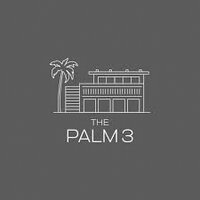 Palm3