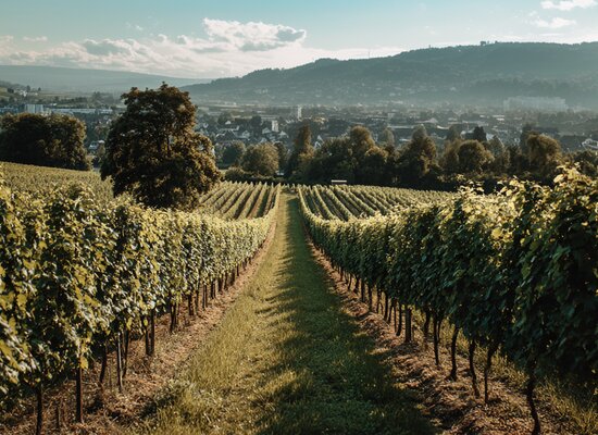 Aargau